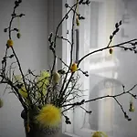 Apartmán Calandra Tallinn